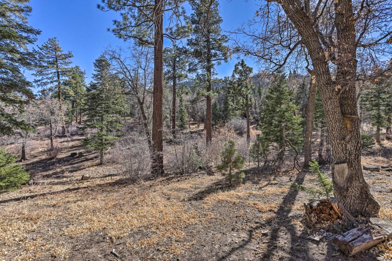 Chocolate Moose Cabin Short Walk To Slopes Big Bear Lake Exterior photo