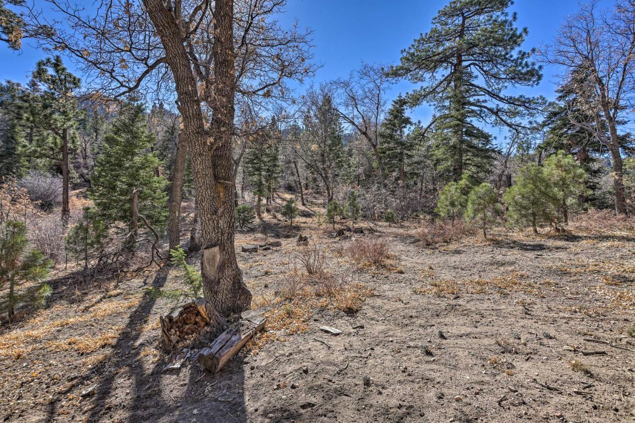 Chocolate Moose Cabin Short Walk To Slopes Big Bear Lake Exterior photo